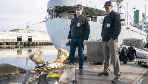 NCIS Saison 20 Episode 13