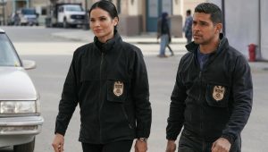 NCIS Saison 20 Episode 14