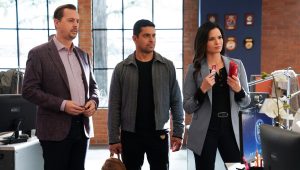 NCIS Saison 20 Episode 15