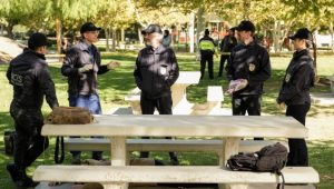 NCIS Saison 22 Episode 11