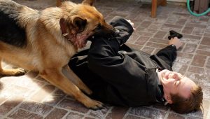 NCIS Saison 5 Episode 13