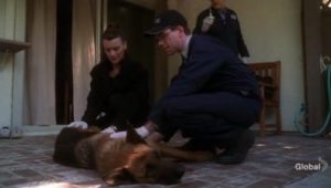 NCIS Saison 5 Episode 13