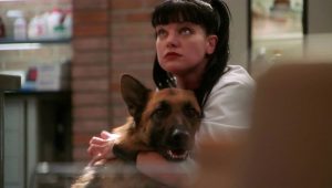 NCIS Saison 5 Episode 14