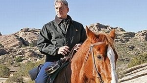 NCIS Saison 6 Episode 17