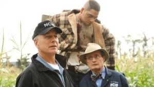 NCIS Saison 7 Episode 9