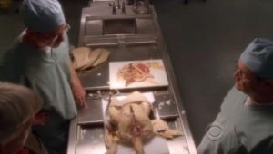 NCIS Saison 8 Episode 10