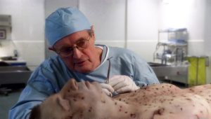 NCIS Saison 8 Episode 15