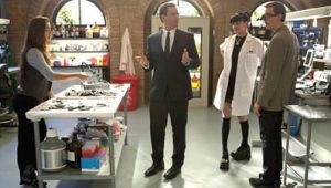 NCIS Saison 8 Episode 19