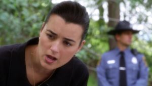 NCIS Saison 8 Episode 22