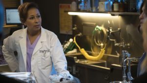 New York, unité spéciale Saison 17 Episode 1