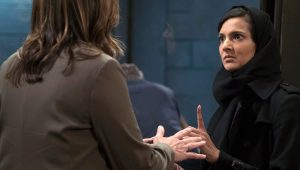 New York, unité spéciale Saison 18 Episode 20