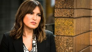 New York, unité spéciale Saison 19 Episode 12