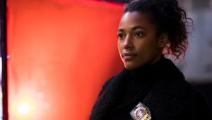New York, unité spéciale Saison 19 Episode 14
