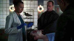 New York, unité spéciale Saison 8 Episode 17