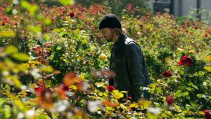 Paradise Saison 2 Episode 3