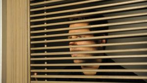 Psych Saison 7 Episode 13