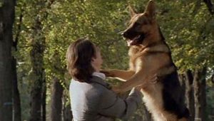 Rex, chien flic Saison 1 Episode 1