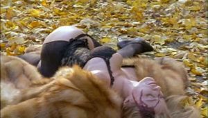 Rex, chien flic Saison 1 Episode 6