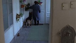 Rex, chien flic Saison 1 Episode 8