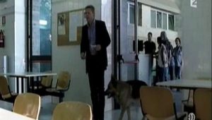 Rex, chien flic Saison 13 Episode 7