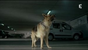 Rex, chien flic Saison 14 Episode 12