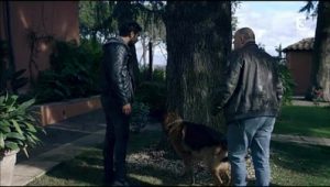 Rex, chien flic Saison 18 Episode 8