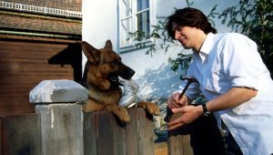 Rex, chien flic Saison 2 Episode 15