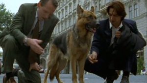 Rex, chien flic Saison 2 Episode 2