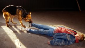 Rex, chien flic Saison 2 Episode 8