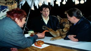 Rex, chien flic Saison 3 Episode 2