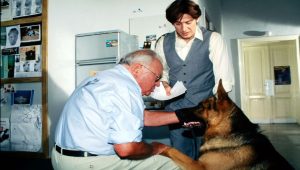 Rex, chien flic Saison 3 Episode 8