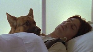 Rex, chien flic Saison 4 Episode 4