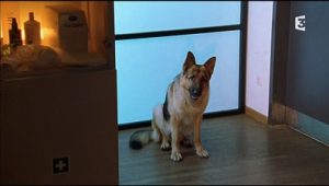 Rex, chien flic Saison 6 Episode 5
