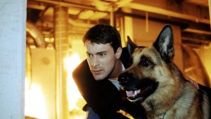 Rex, chien flic Saison 6 Episode 6