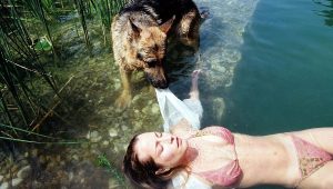 Rex, chien flic Saison 8 Episode 9