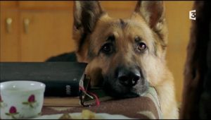 Rex, chien flic Saison 9 Episode 9