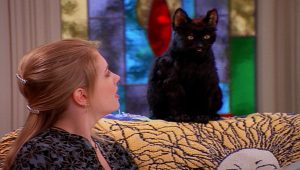 Sabrina, l'apprentie sorcière Saison 1 Episode 19