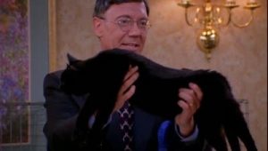 Sabrina, l'apprentie sorcière Saison 1 Episode 19