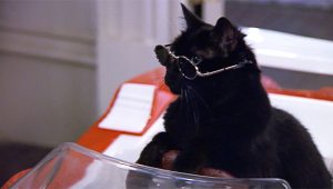 Sabrina, l'apprentie sorcière Saison 4 Episode 11