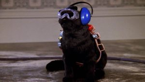 Sabrina, l'apprentie sorcière Saison 5 Episode 13