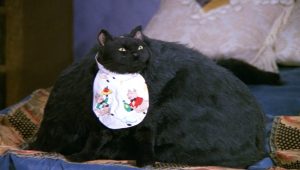 Sabrina, l'apprentie sorcière Saison 5 Episode 2