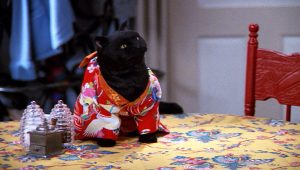 Sabrina, l'apprentie sorcière Saison 5 Episode 22
