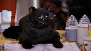 Sabrina, l'apprentie sorcière Saison 5 Episode 8