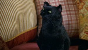 Sabrina, l'apprentie sorcière Saison 7 Episode 1