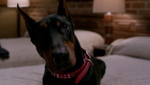 Supernatural Saison 8 Episode 15