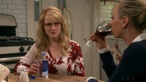 The Big Bang Theory Saison 10 Episode 22