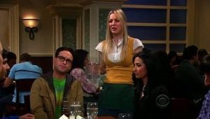 The Big Bang Theory Saison 4 Episode 16