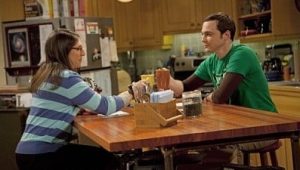 The Big Bang Theory Saison 4 Episode 20