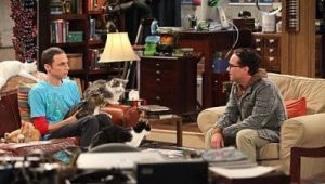 The Big Bang Theory Saison 4 Episode 3