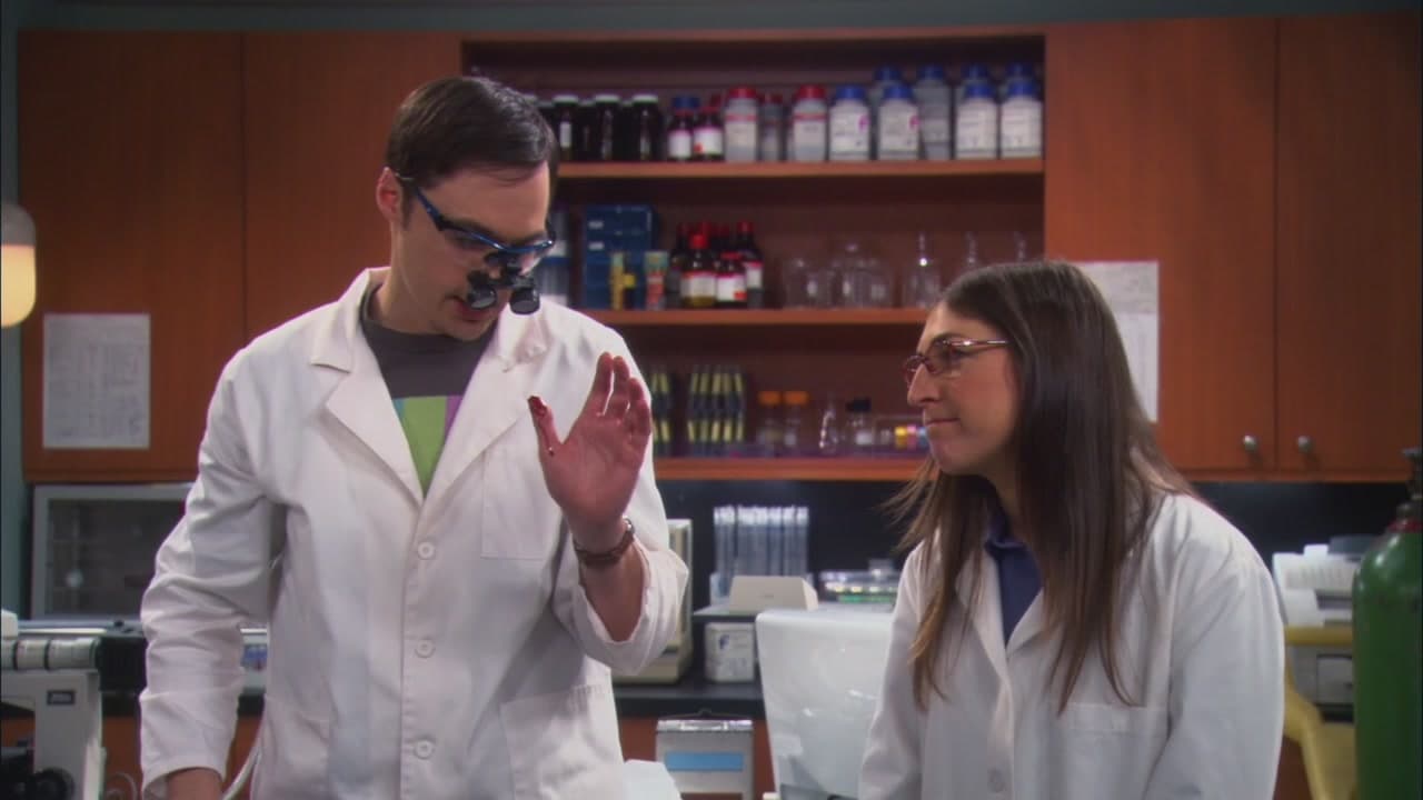 The Big Bang Theory Saison 5 Episode 16